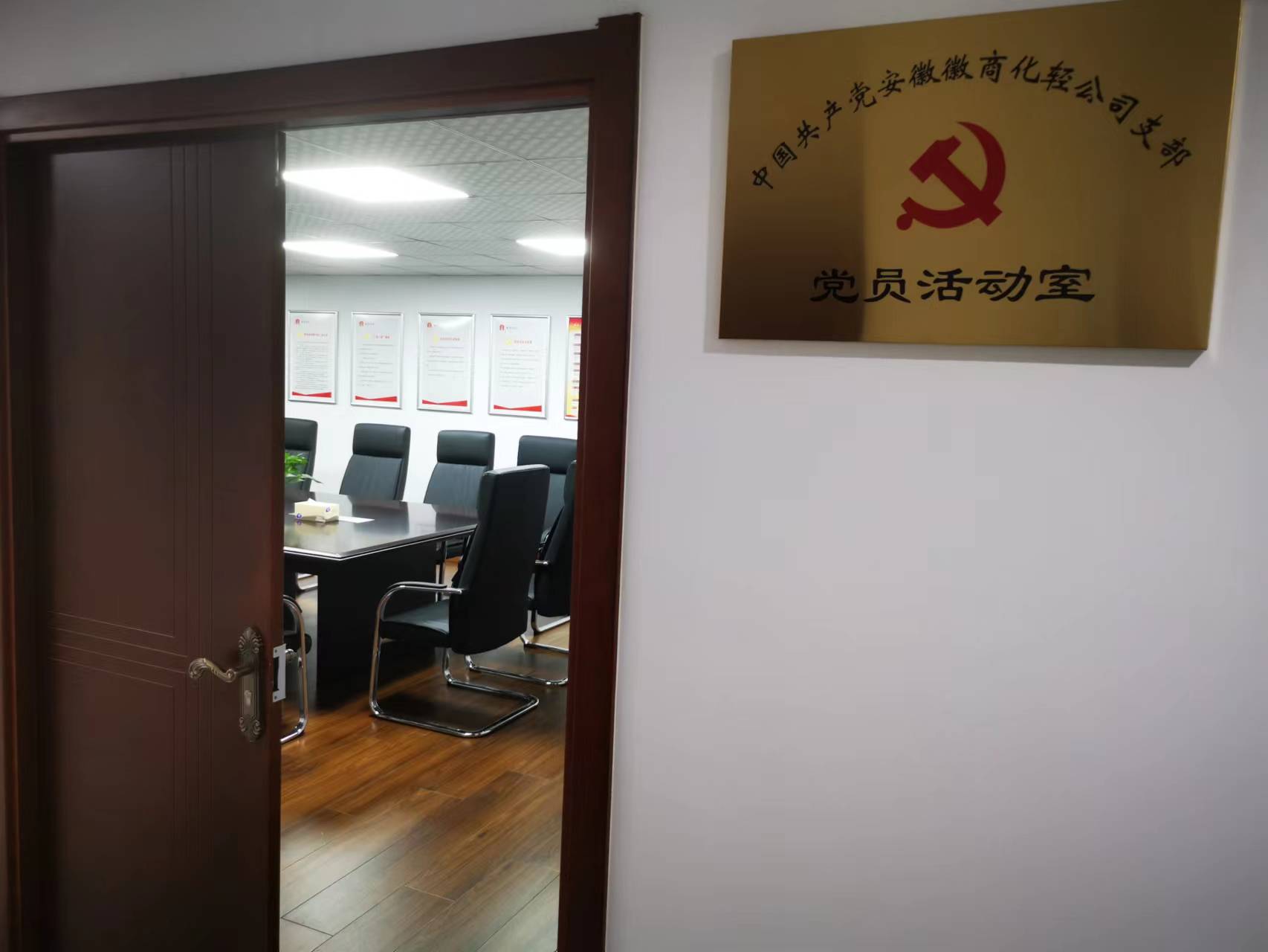 安徽省徽商集团化轻股份有限公司